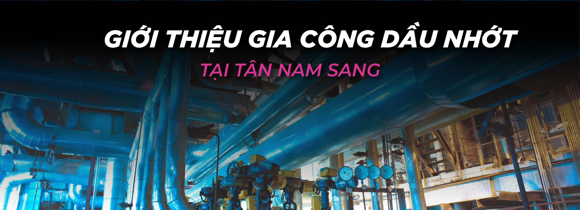 banner giới thiệu tân nam sang